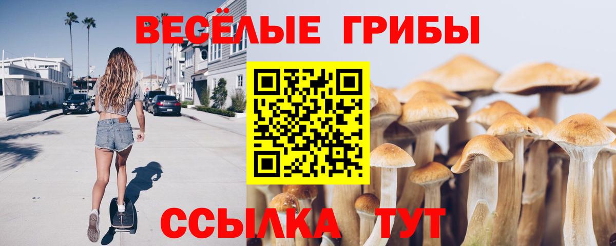 Псилоцибиновые грибы MAGIC MUSHROOMS  Псилоцибиновые грибы прущие грибы  Вход с VPN  Коломна 